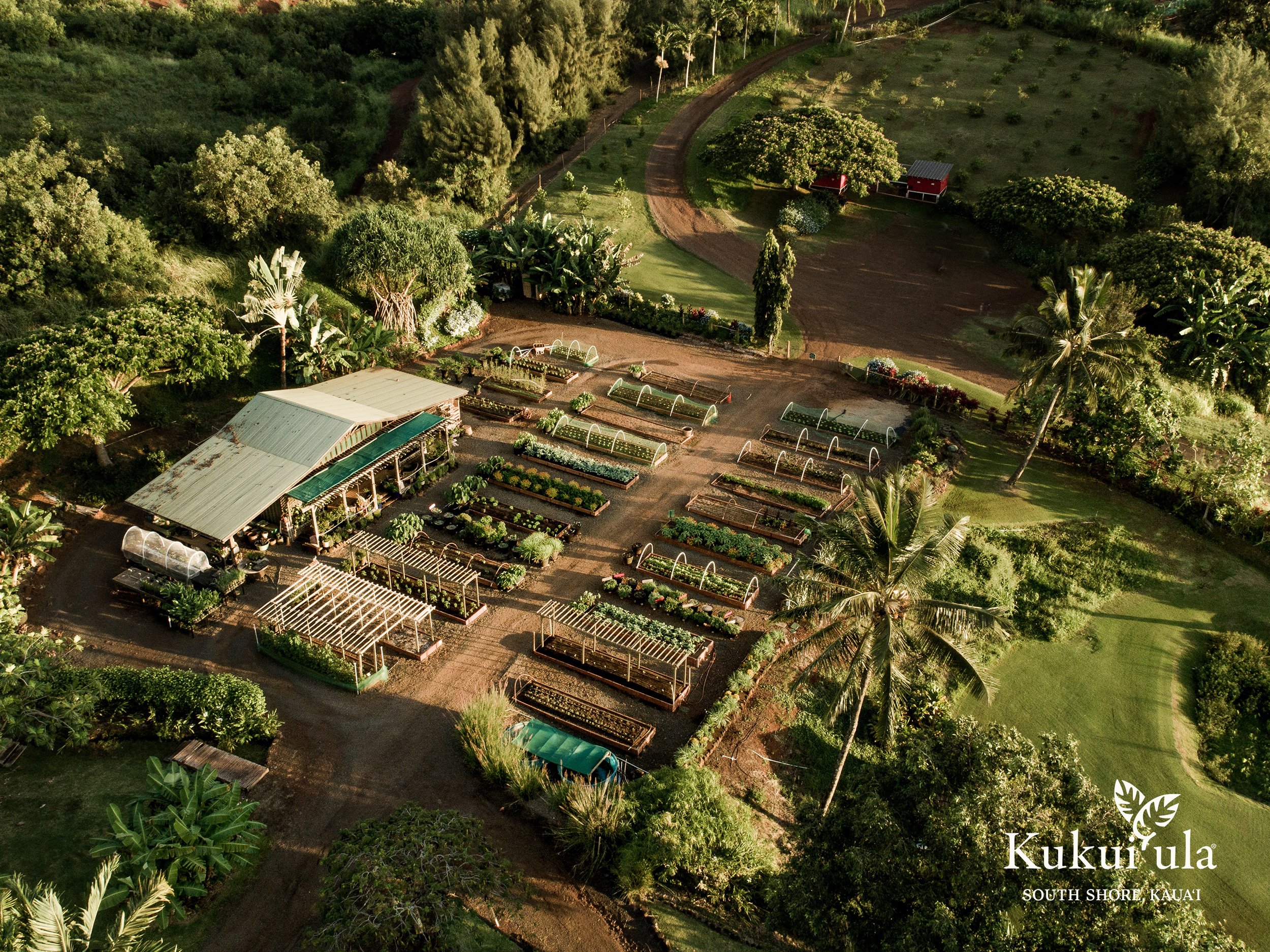 The-Farm-at-Kukuiʻula-1
