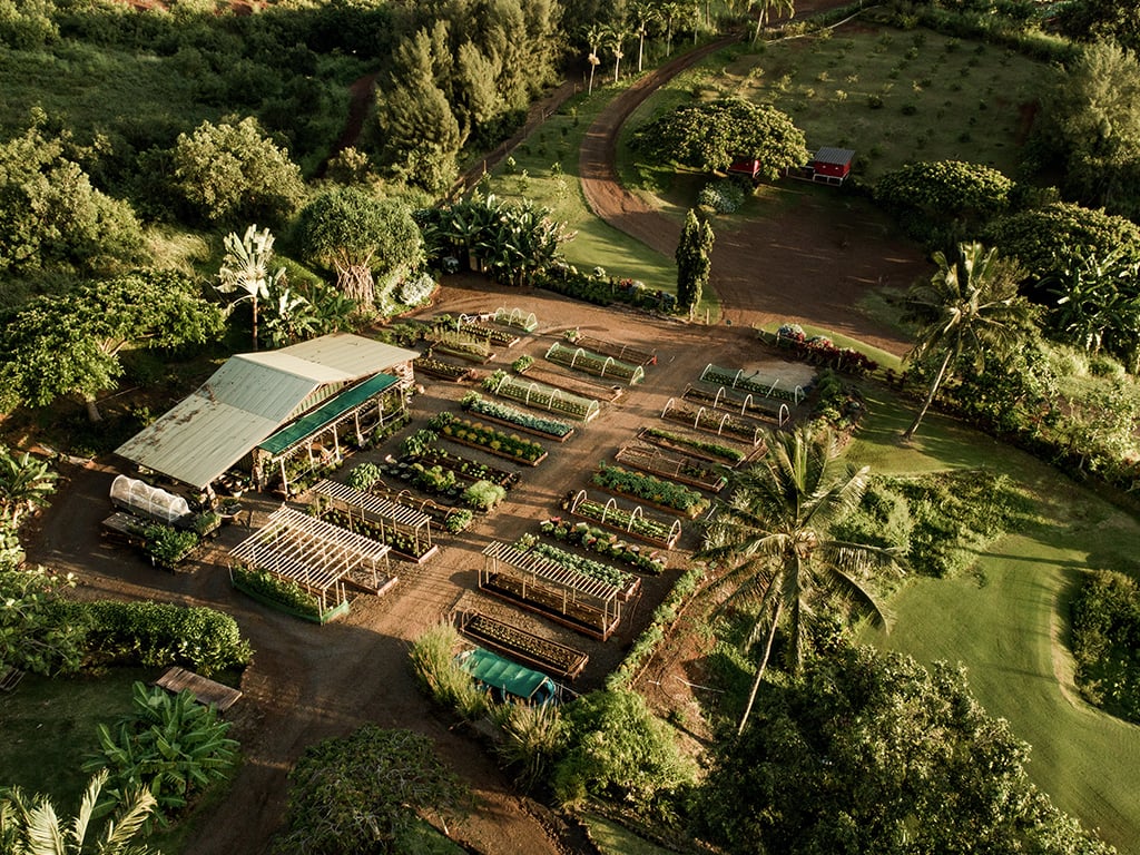 The-Farm-at-Kukuiula