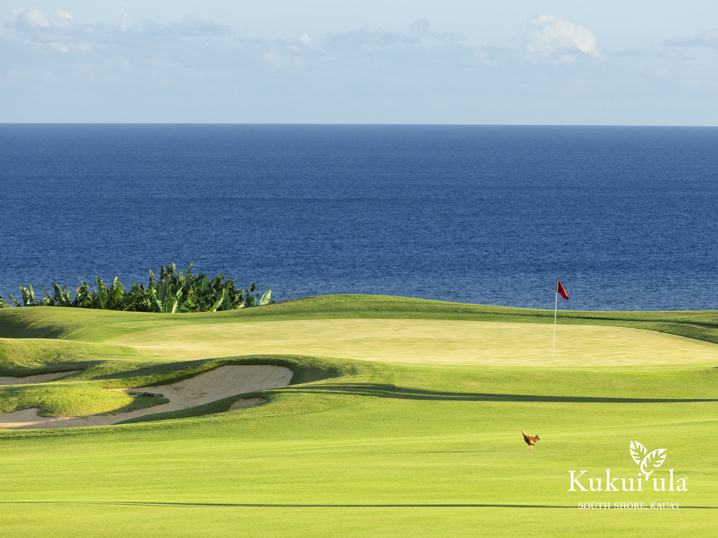 Tom-Weiskopf-Designed-Golf-Course-at-Kukuiʻula-1
