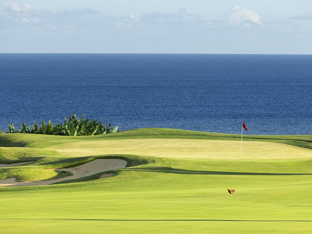 Tom-Weiskopf-Designed-Golf-Course-at-Kukuiʻula-2